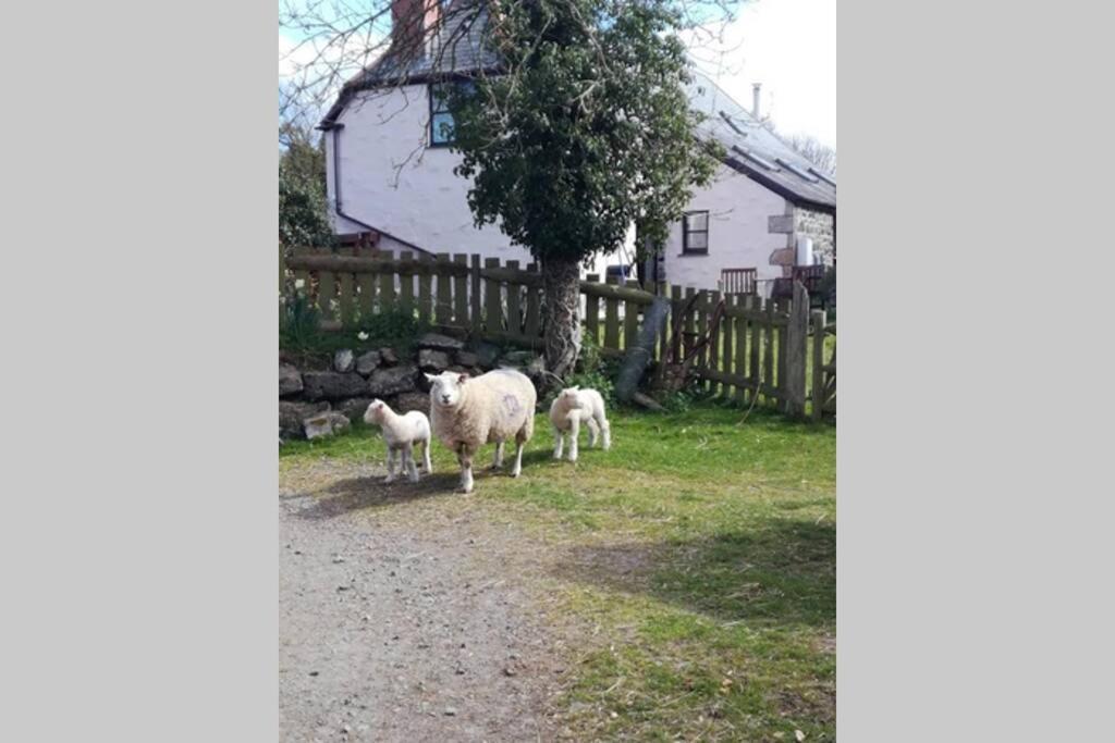 Apartamento Farm - The Lizard Peninsula, Cornwall *