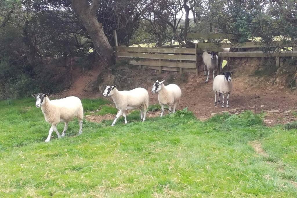 Farm - The Lizard Peninsula, Cornwall Apartamento Helston