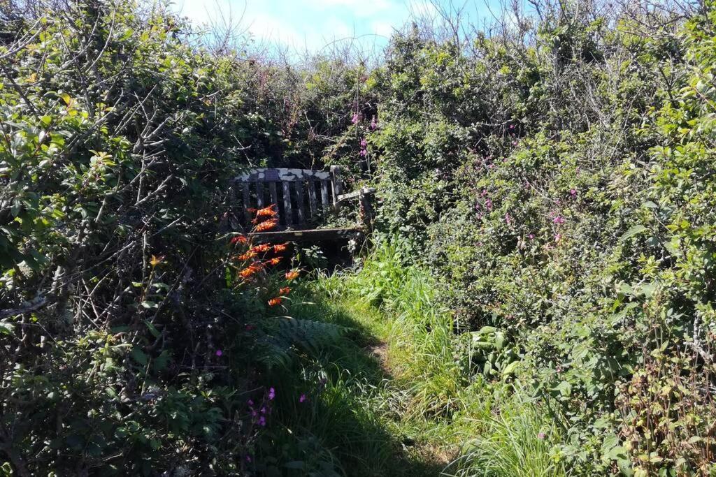 Apartment Farm - The Lizard Peninsula, Cornwall