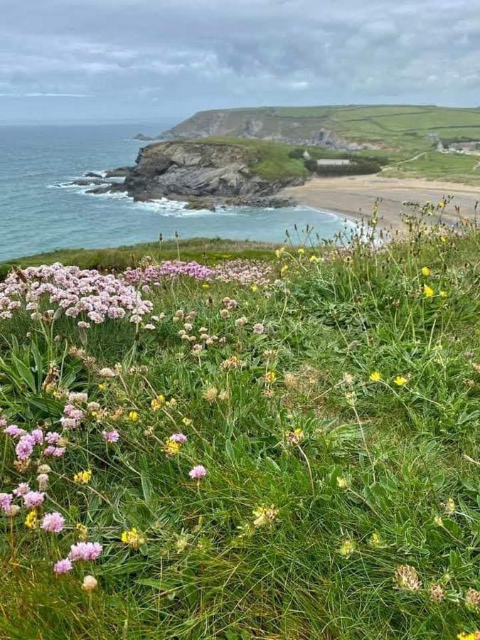 Farm - The Lizard Peninsula, Cornwall Apartment Helston