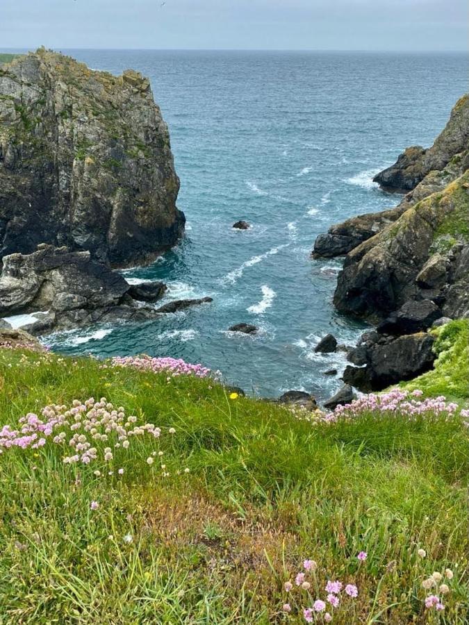 Farm - The Lizard Peninsula, Cornwall Apartamento