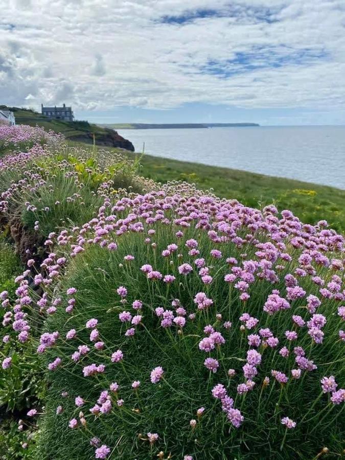Farm - The Lizard Peninsula, Cornwall Apartamento *