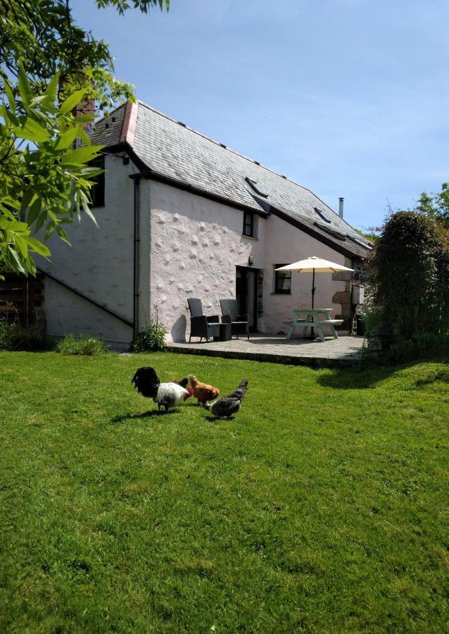 Farm - The Lizard Peninsula, Cornwall